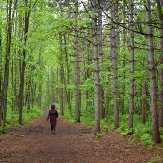 ad55b217-cadf-4814-bf03-13f7a4541c1f