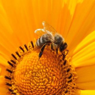 d4aa0c4d-64aa-4457-b02d-ffcf98db385d