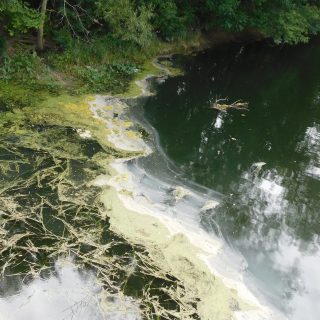 d7f399a1-1147-48f4-832e-607b2127bc86