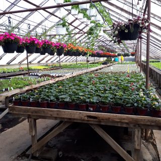 e6052102-9286-458b-a3e0-1e6ecba1665d
