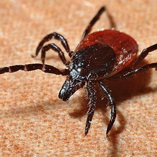 f26b30c5-08bc-46c3-ba26-f36df114be27