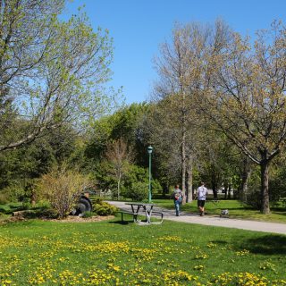 L'événement aura lieu au parc Barron de Lachute (Photo gracieuseté Ville de Lachute)