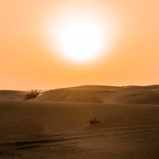 Desert heat